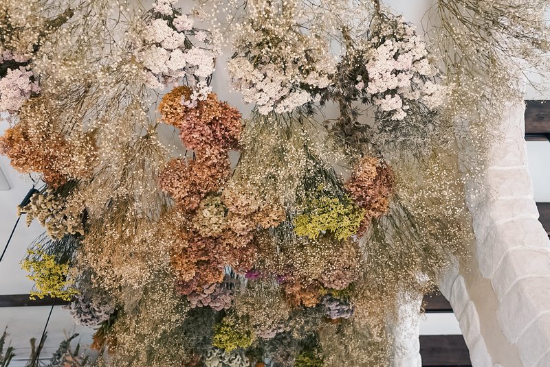 平久保半島の自然